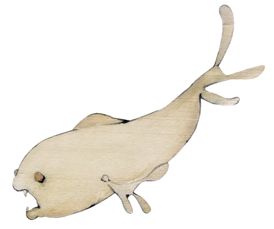 Poisson_2